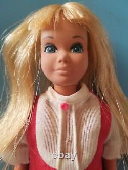 Allan, Skipper and Sunset Malibu Skipper Dolls and Case - Vintage Barbie lot