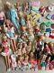 Barbie & Friends 35+ Dolls with Extras Kelly Chelsea Stacie Tommy Skipper Krissy