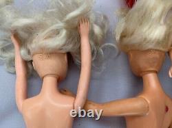 Huge Barbie Doll Bundle Clothing Accessories Ken Sindy Job Lot / Monster High