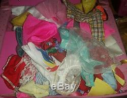 Huge Lot 34 Barbie1 Ken Mattel Dog Cases Clothes Accessories 60's 90s one 2009