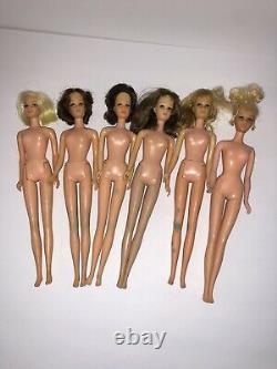Instant FRANCIE Collection! Vintage 1960s Barbie FamIly MOD Lot Francie Casey