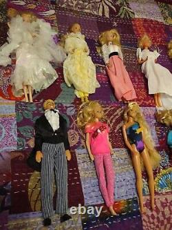 Lot of 9 Barbie Dolls & 1 Ken Doll with Clothes, Accessories, & Case Used Toys