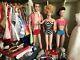 Vintage Barbie & Ken Huge 1960s Lot Case, Clothing, Accessories, Poodle GUC