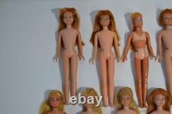 Vintage Barbie Skipper Doll Lot 1960's Blonde Burnette Flip Pageboy Straight