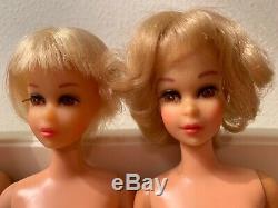 Vintage Francie Barbie Lot! Very Pretty Dolls