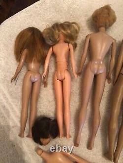 Vintage Huge Barbie Lot Francie Ken Bubblecut Skipper Chris, Clothes & Access