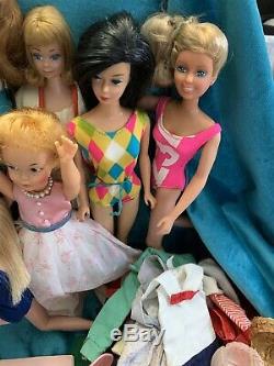 Vintage Large Lot Tammy, Midge, Skipper Barbie & Etc. (at least 2 Dolls TLC)