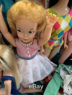 Vintage Large Lot Tammy, Midge, Skipper Barbie & Etc. (at least 2 Dolls TLC)