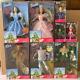 WIZARD OF OZ BARBIE DOLL 1999 MATTEL COMPLETE SET OF 8 NRFB, NIB, Lot of 8 Dolls